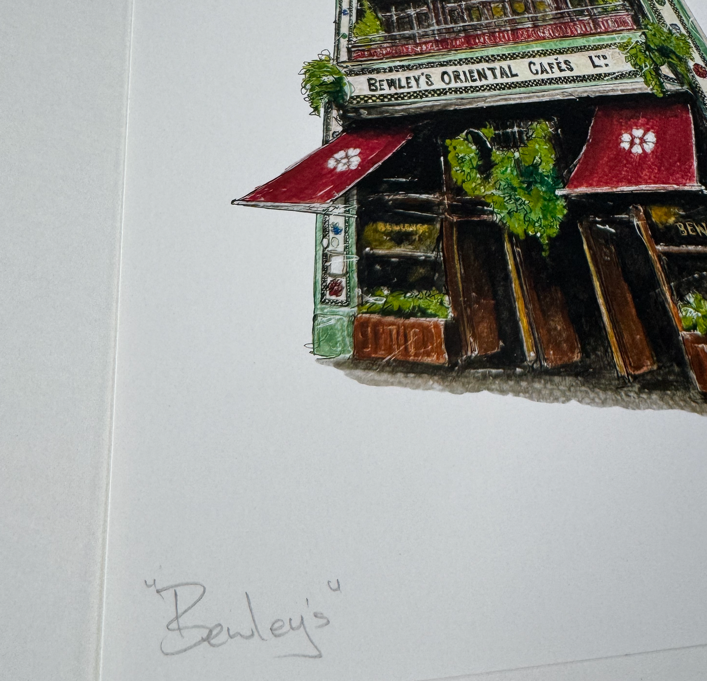 Bewleys-Coffee-artwork-Steven-Mannion-Farrell