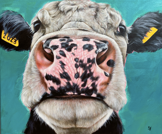 Fine Art Painting - Cow - Animal