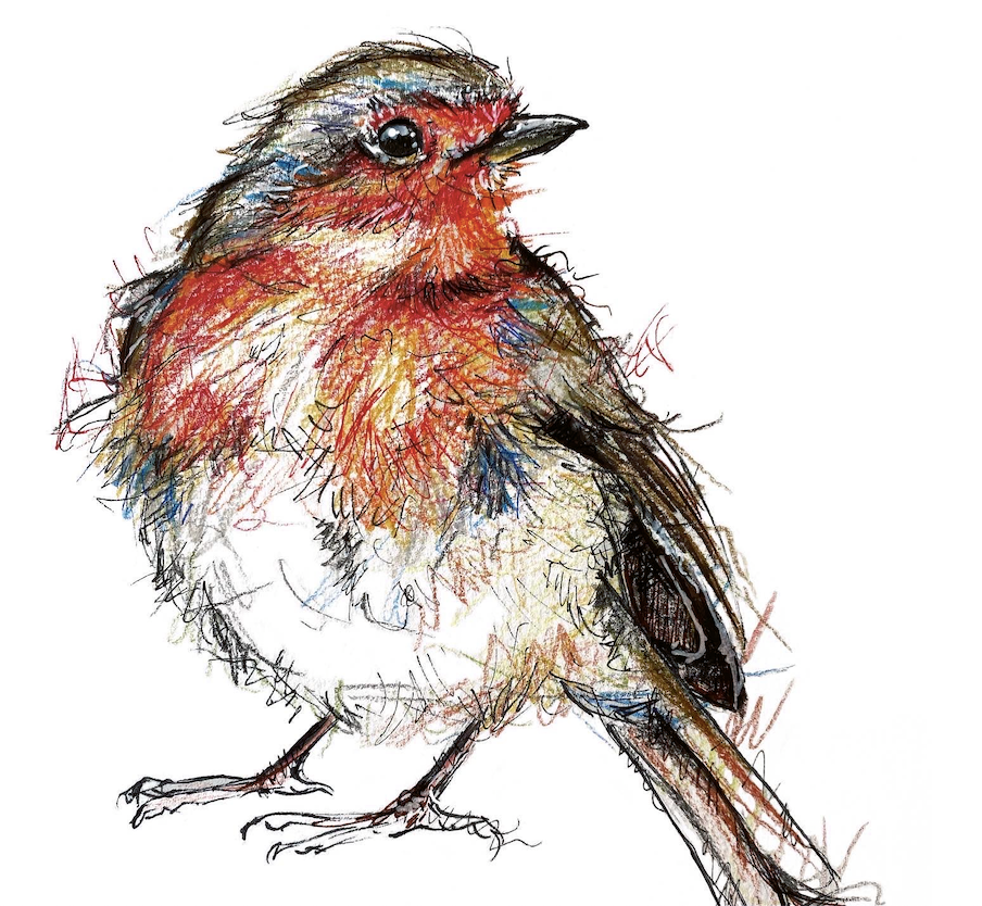 Christmas-robin-bereavement