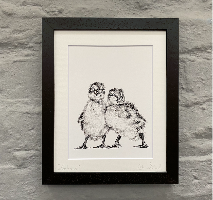 Duckling-fine-art-painting