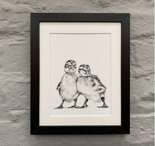 Duckling-fine-art-painting