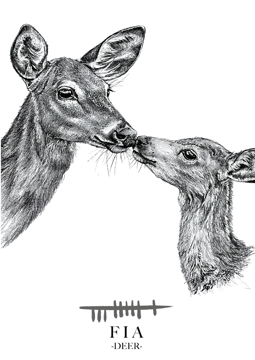 Fia-wildlife-Ireland