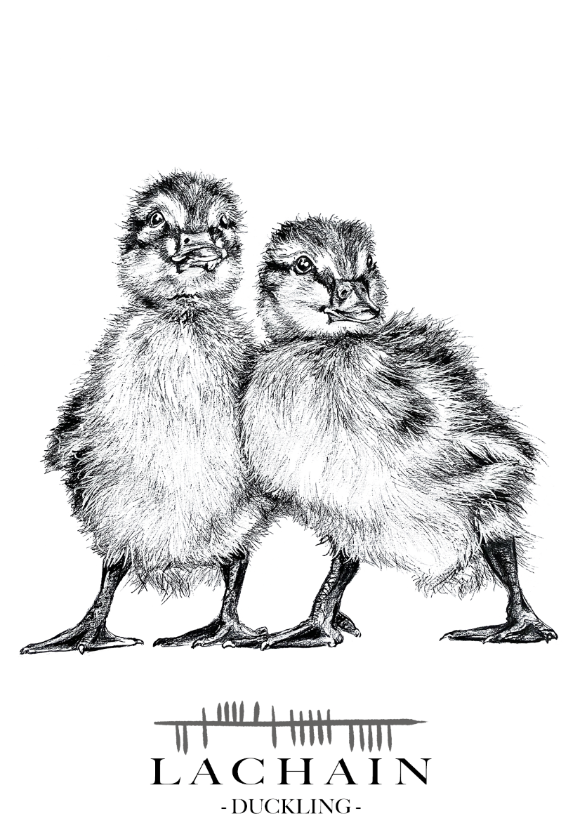 Gift-card-loved-one-lachain