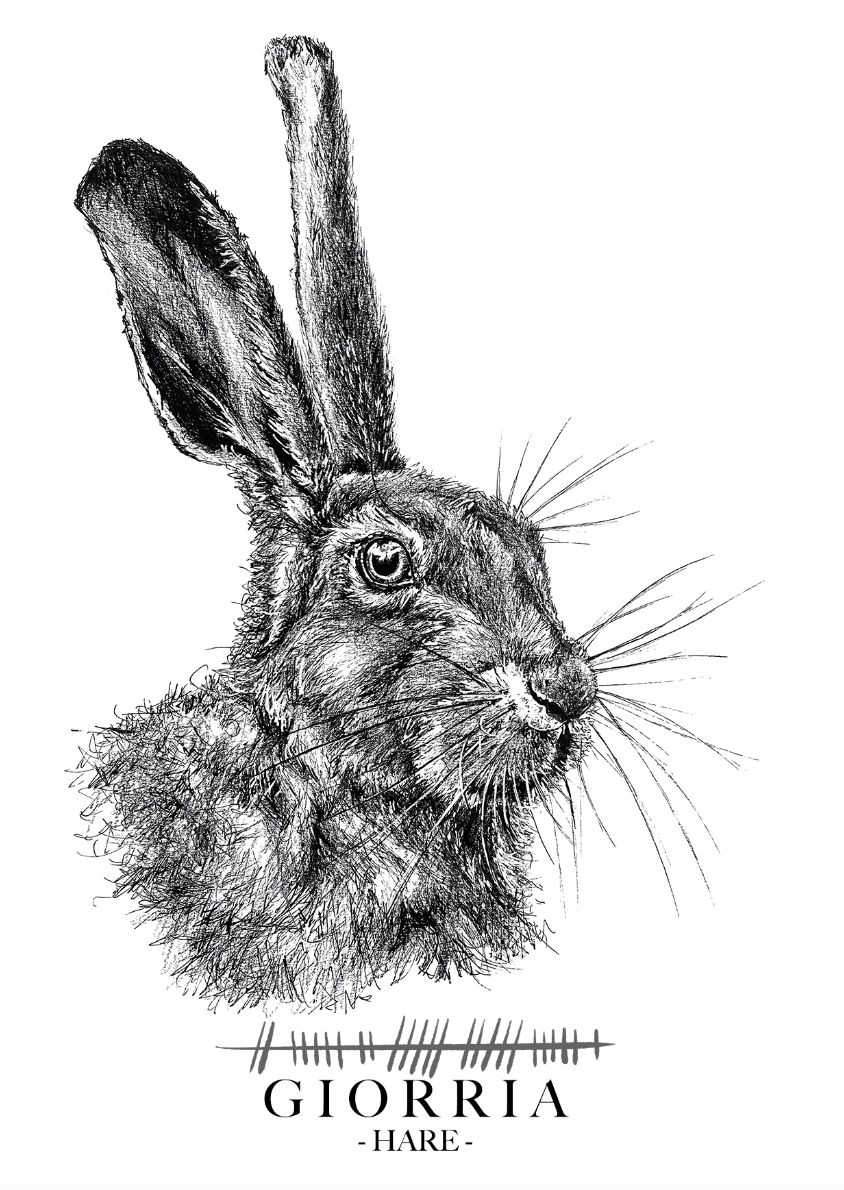 Giorria-Hare-Irish-wildlife-ogham-gift-card