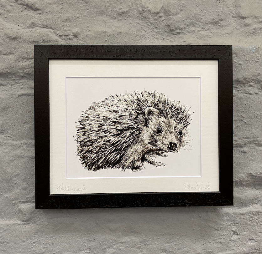 Grainneog-fine-art-print