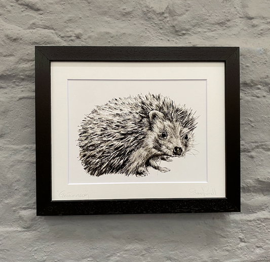 Grainneog-fine-art-print