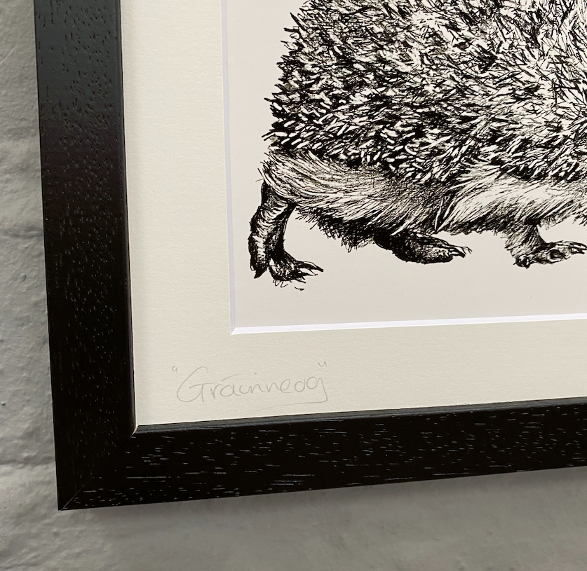 Grainneog-irish-artist-wildlife-art