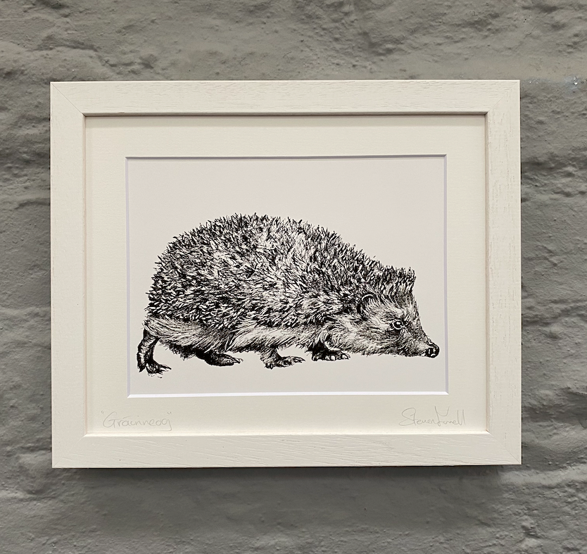 Hedgehog-grainneog-framed-print