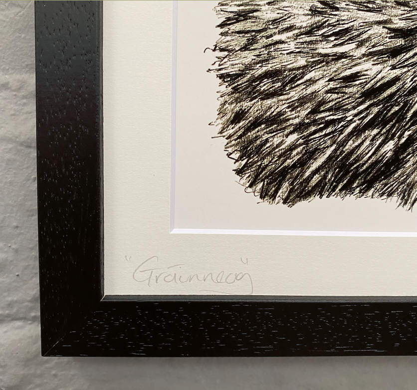 Hedgehog-illustration