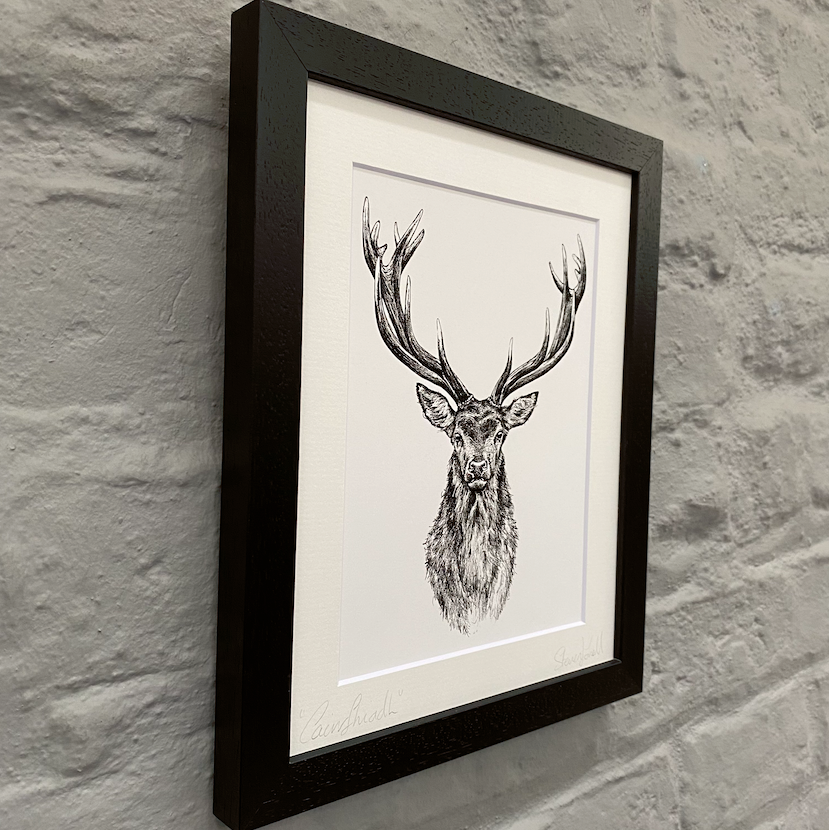 Irish-Stag-artwork