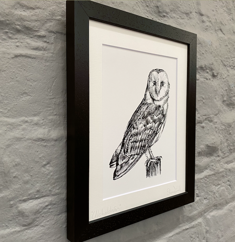 Irish-Ulchabhan-artwork