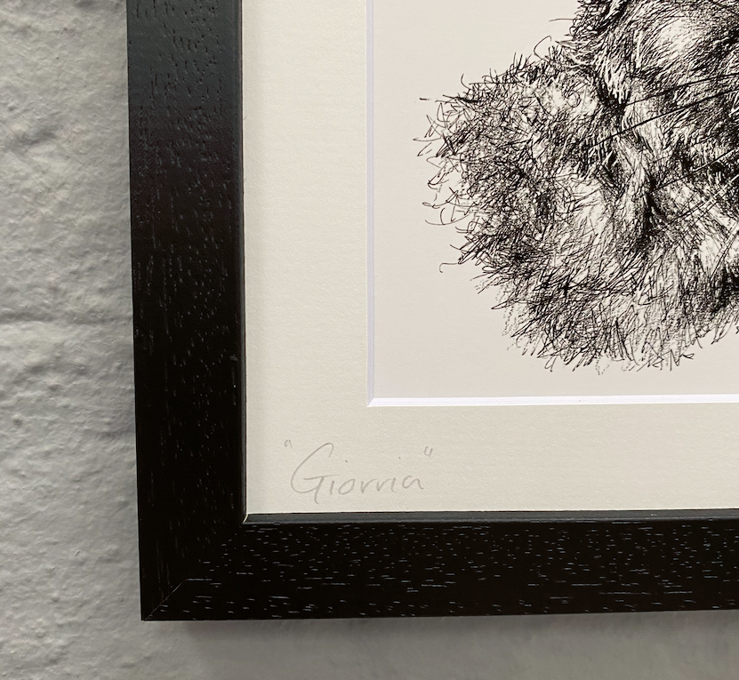 Irish-hare-illustration-gift