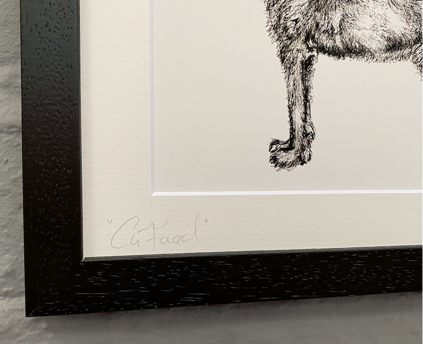 Irish-illustrator-Steven-Farrell