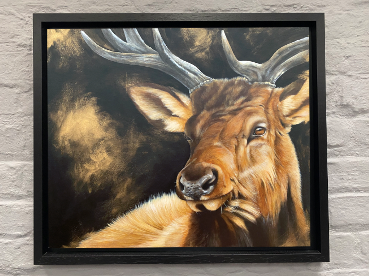 Irish-stag-wildlife-art