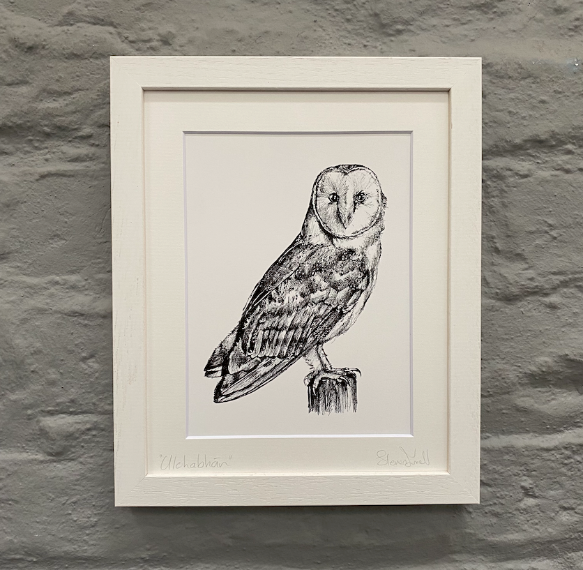 Irish-wildlife-artist-Steven-Farrell