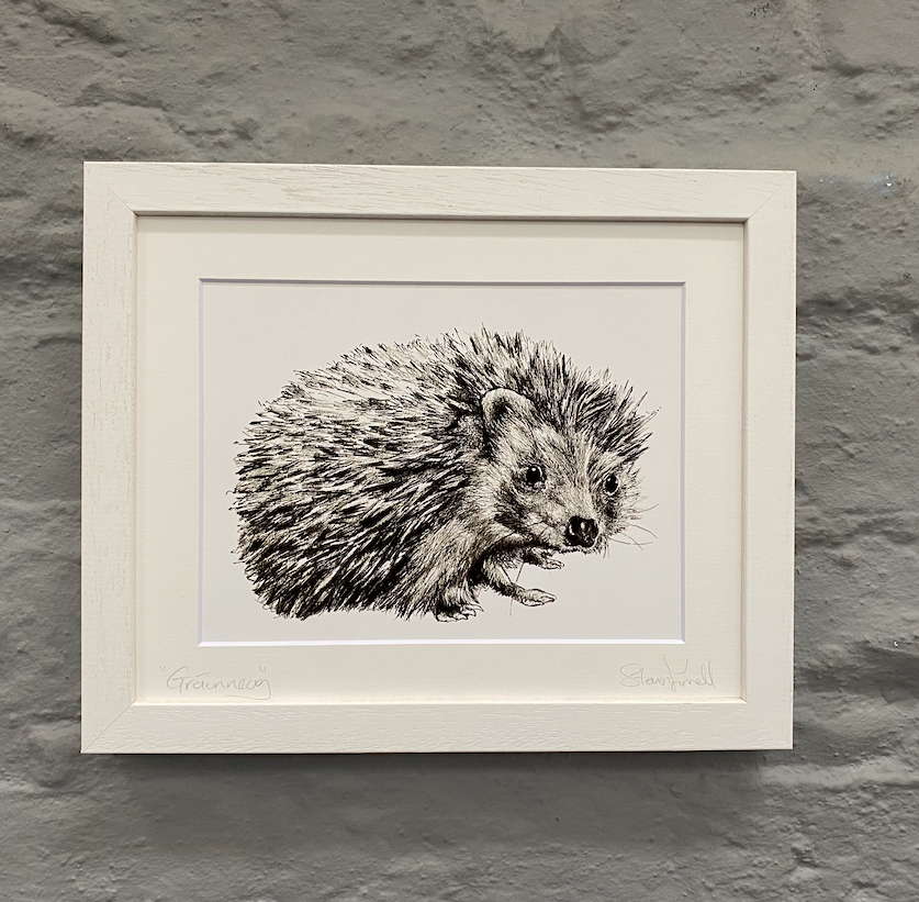 Irish-wildlife-artwork