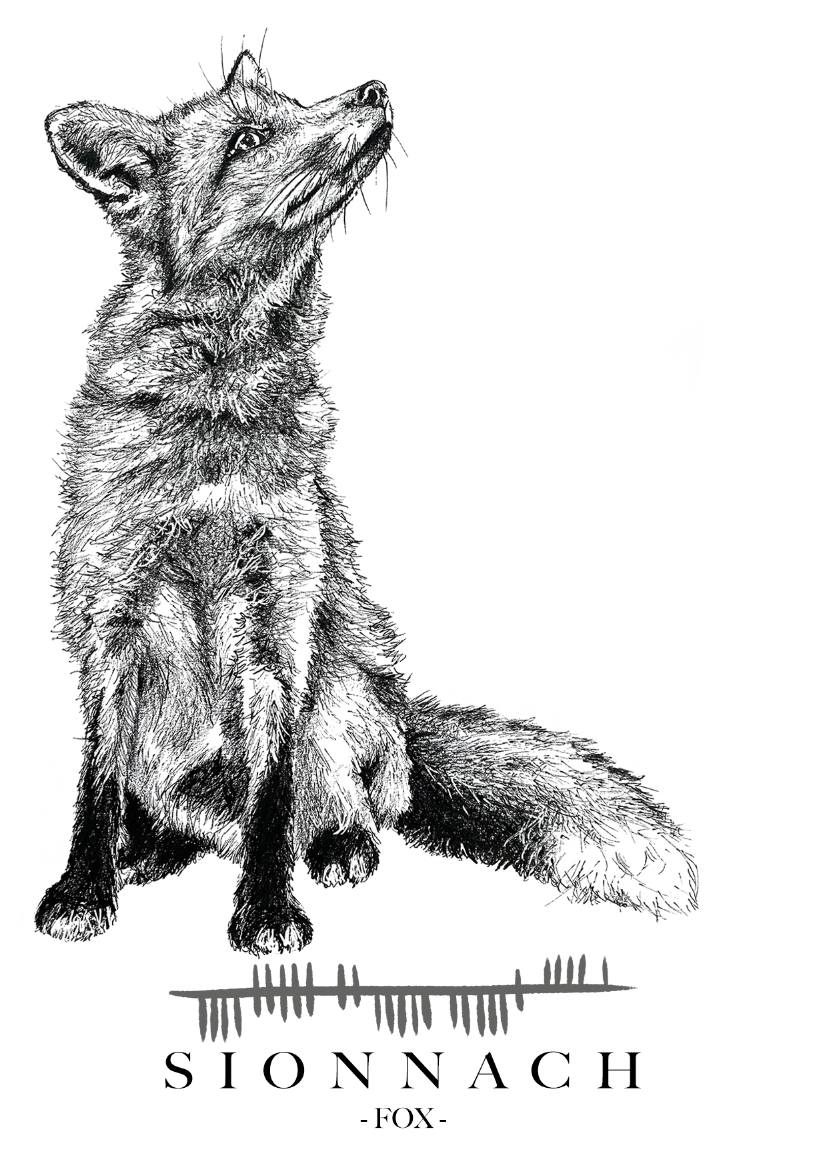 Sionnach-wildlife-Irish-animals-Ogham