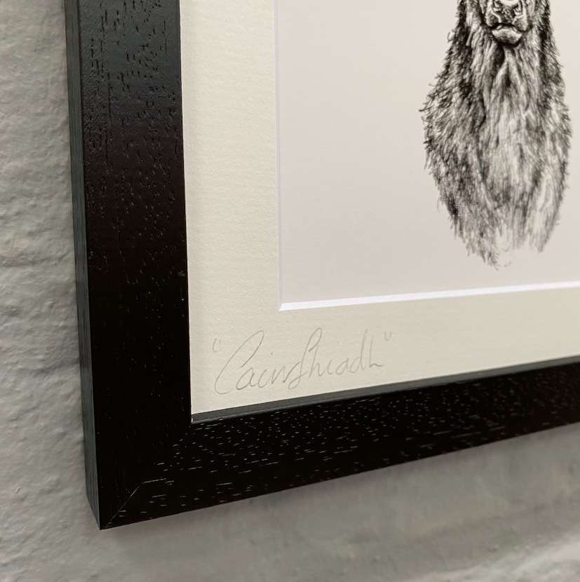 Stag-Image-Illustration