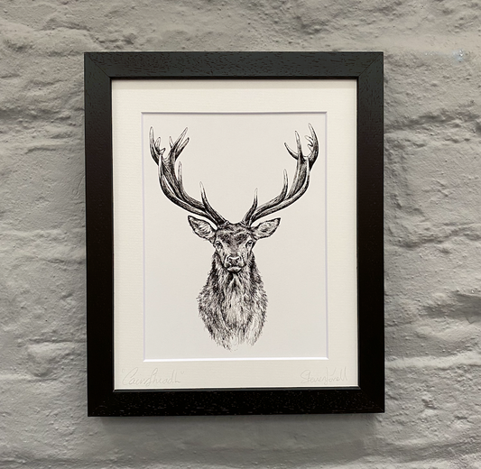 Stag-drawing-framed-print