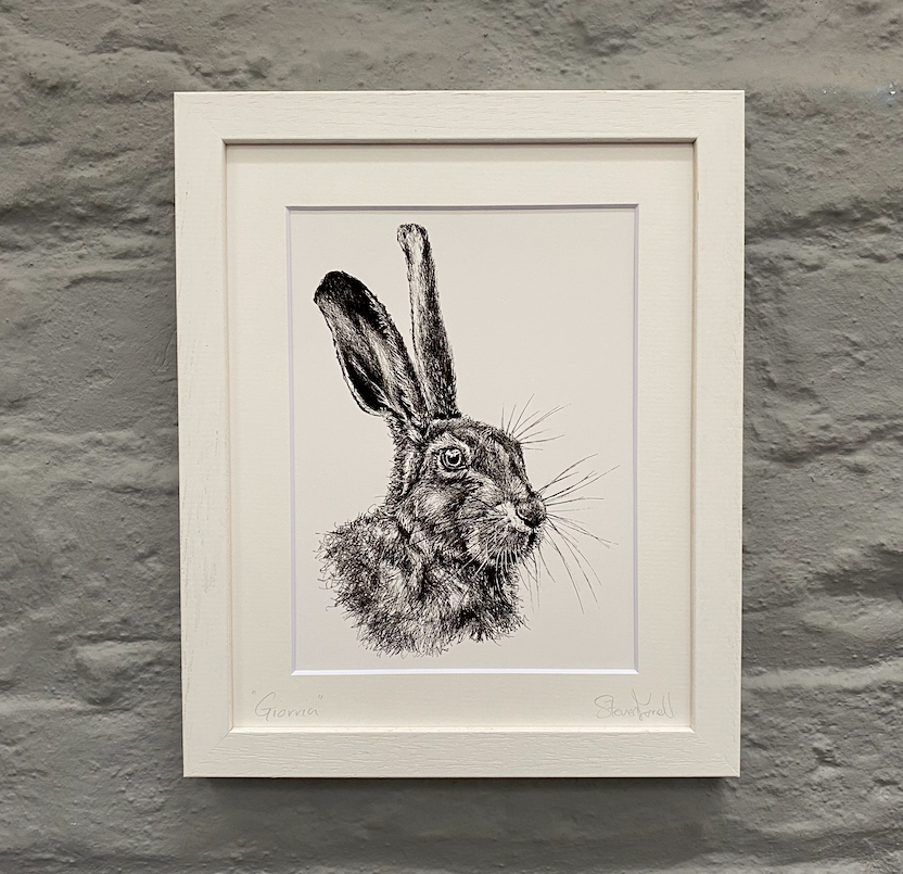 Wildlife-Giorria-gift