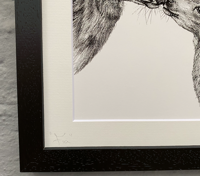 Wildlife-artist-Steven-Farrell