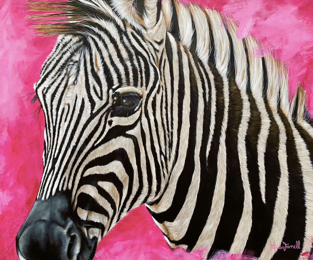 Zebra-contemporary-painting-Steven-farrell-mannion