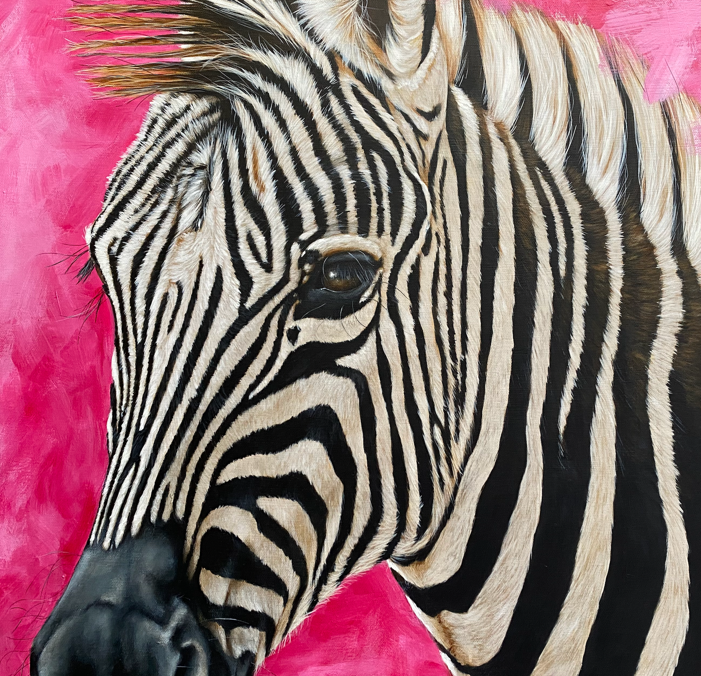 Zebra-painting-Steven-Farrell-fine-art-painting