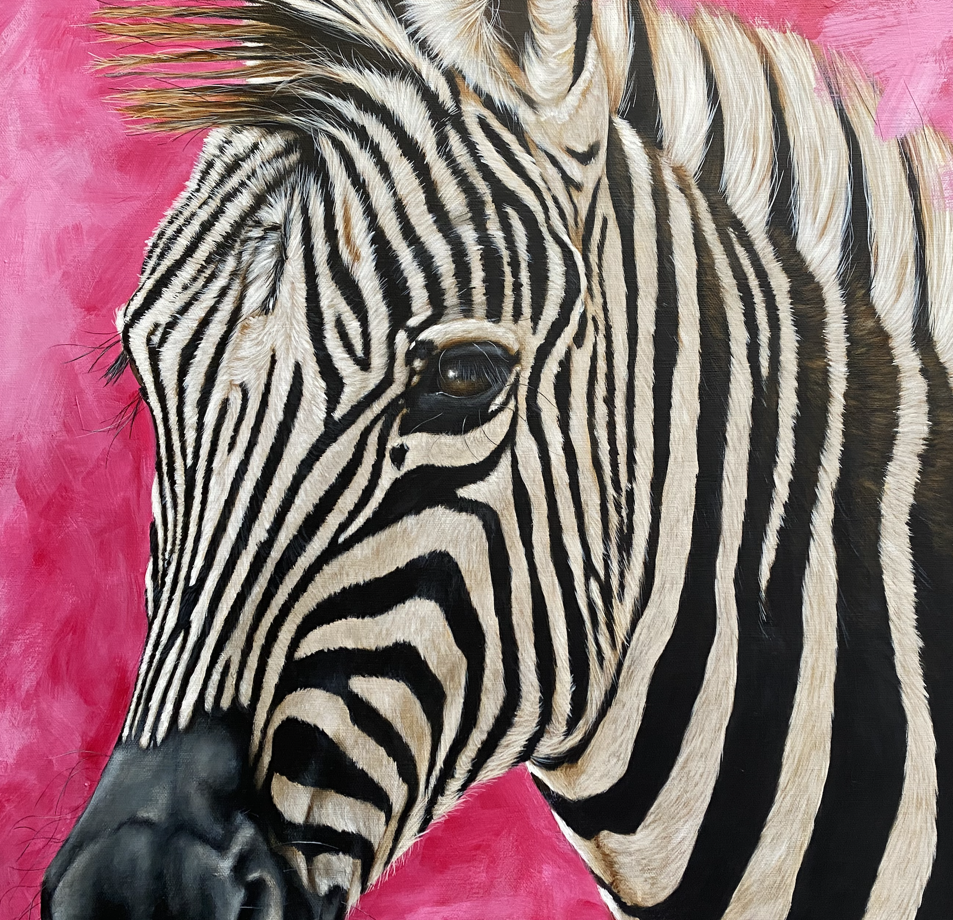 Zebra-painting-Steven-Farrell-fine-art-painting
