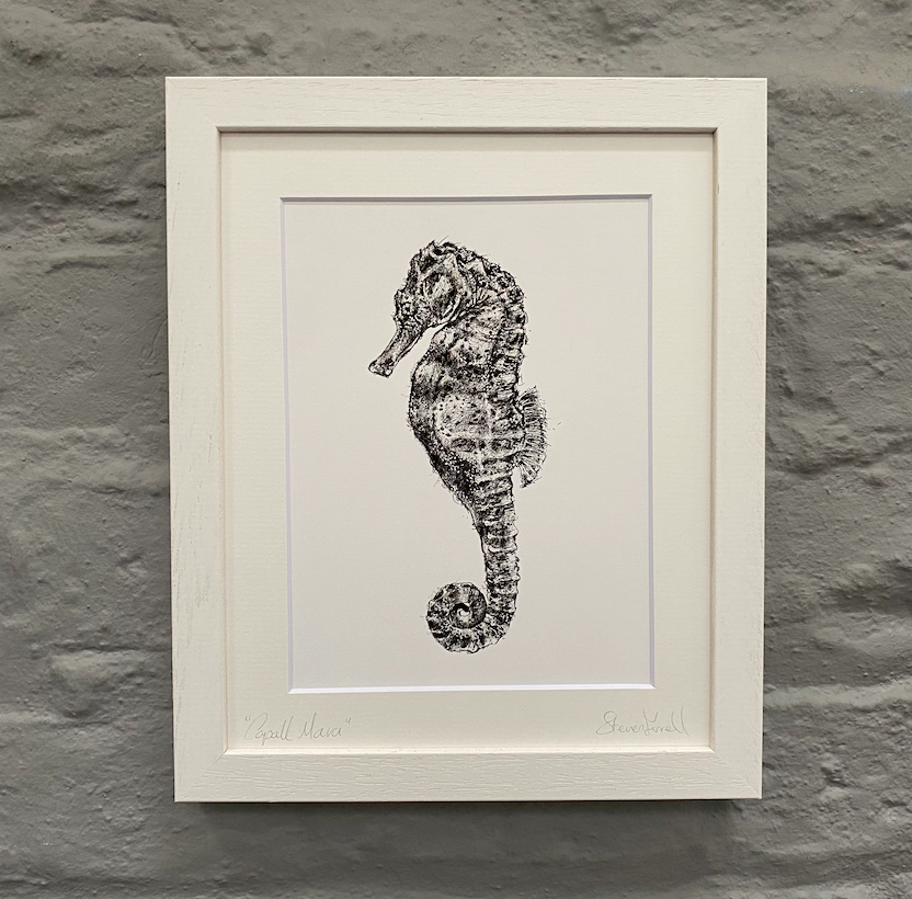 sea-horse-framed-print