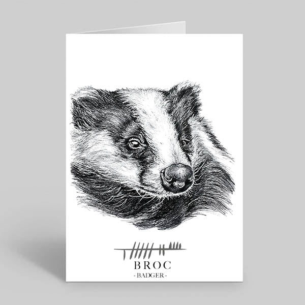 Badger-Wildlife-Greetings-Card-Irish-translation-Broc-By-Steven-Farrell
