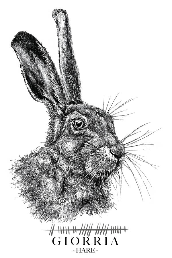 Hare-greetings-card-irish-language-giorria