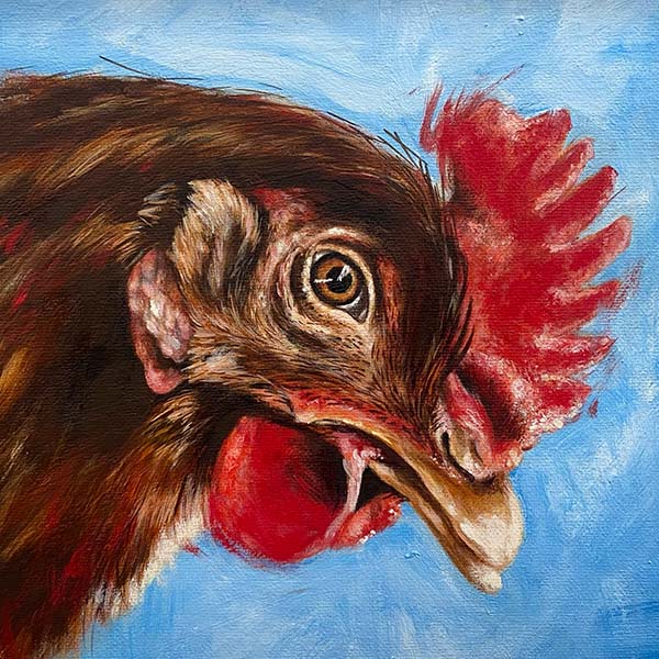 Fine Art Painting - Hen - Chicken
