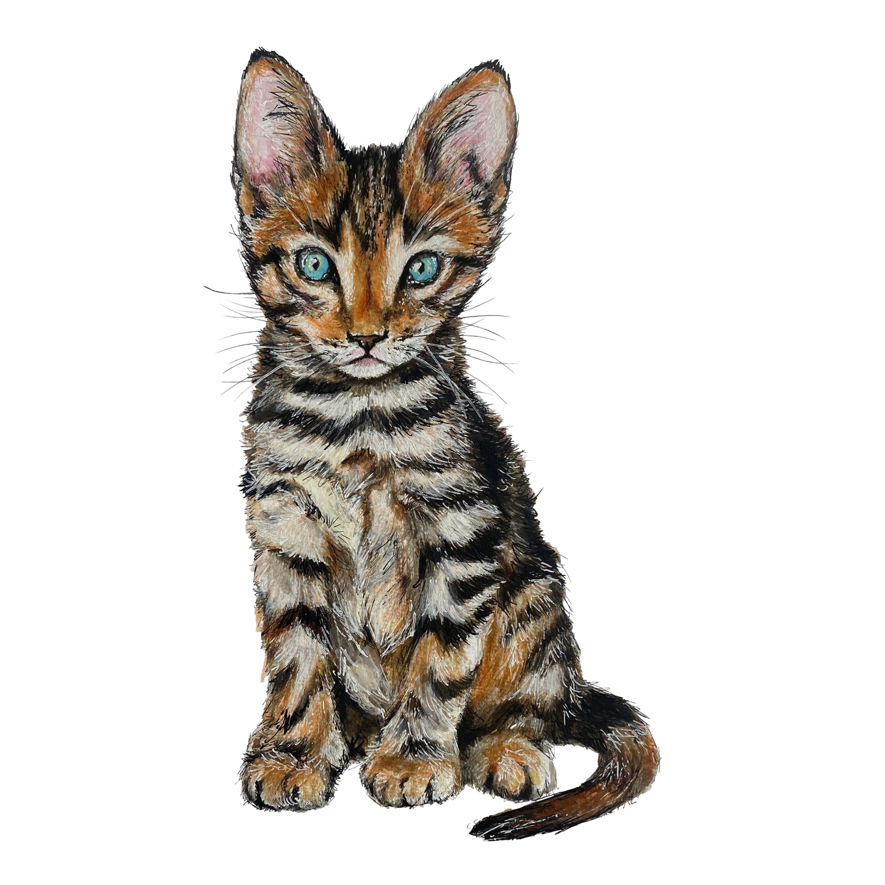 Kitten-Artwork-Rua-Irish-Language-Steven-Farrell