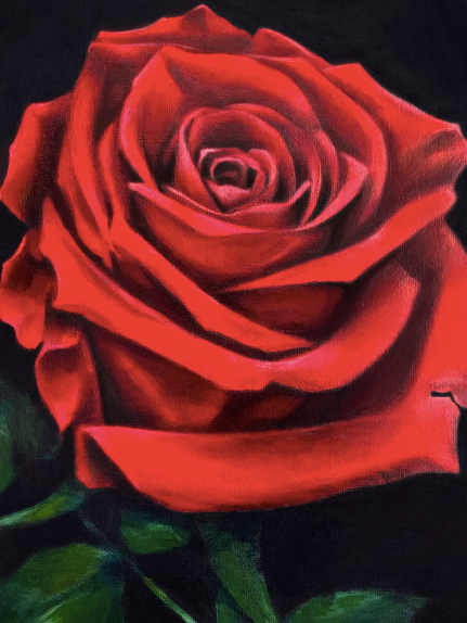Fine Art Painting - Rose - Flower