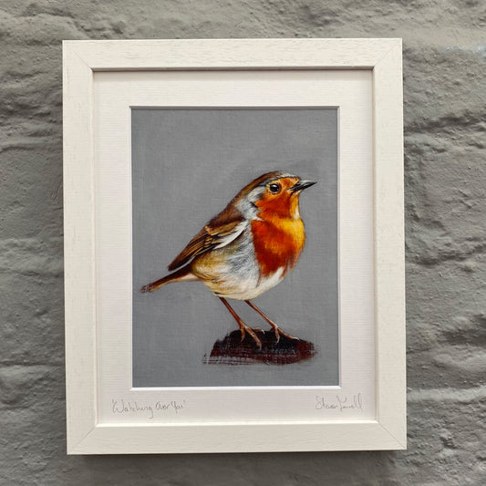 Fine Art Print - Robin Redbreast - Wildlife