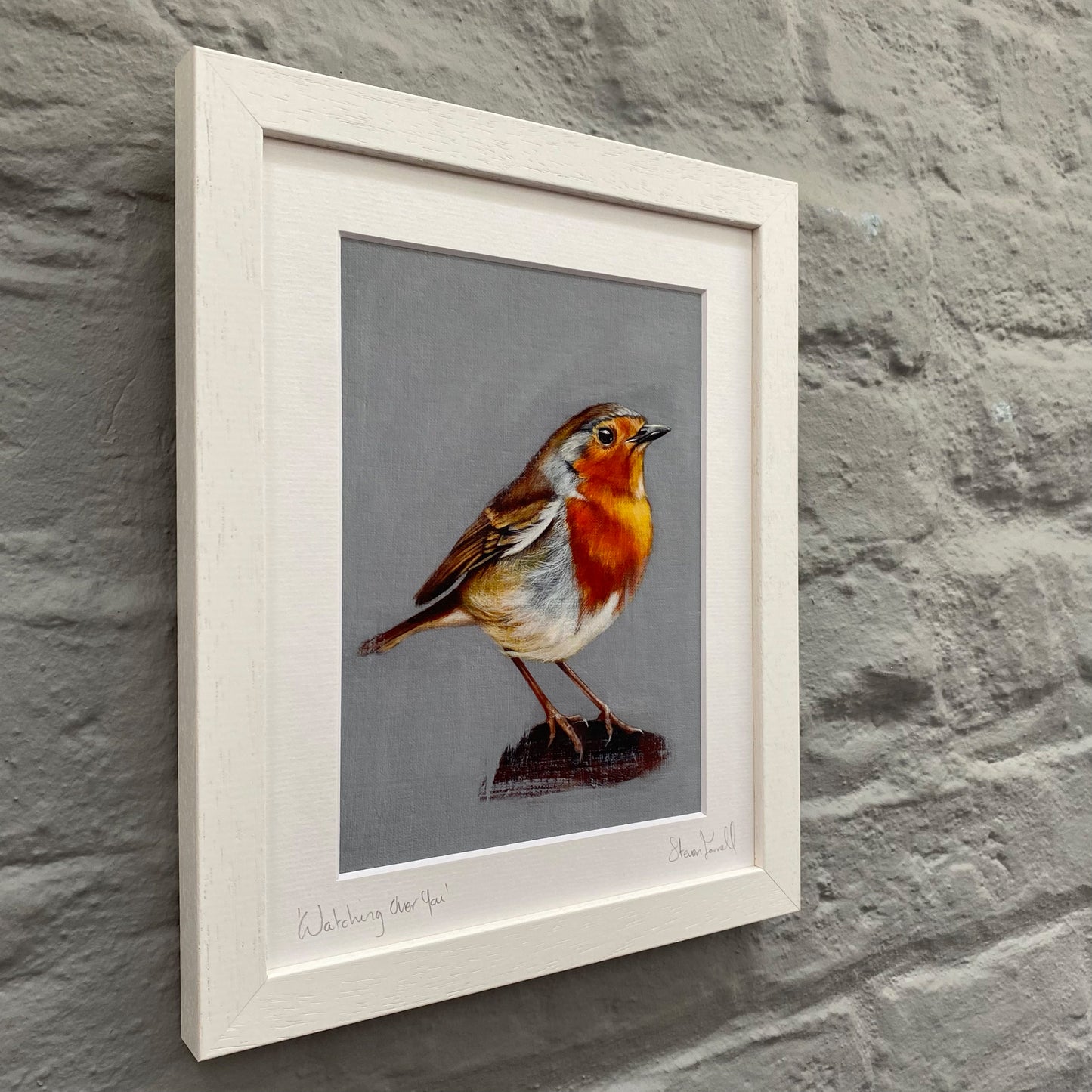 Fine Art Print - Robin Redbreast - Wildlife