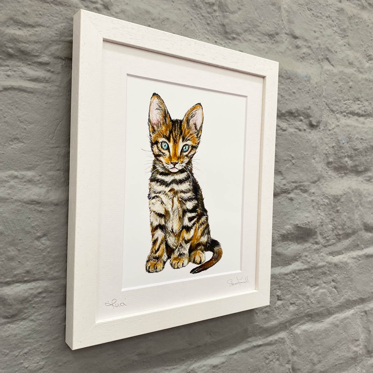 Kitten-Artwork-Rua-Irish-Language-Steven-Farrell
