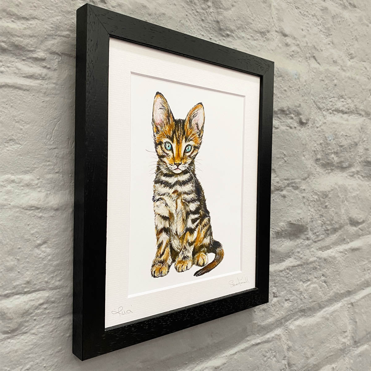 Kitten-Artwork-Rua-Irish-Language-Steven-Farrell