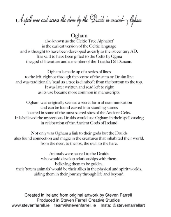 Hedgehog art gift idea by Steven Farrell