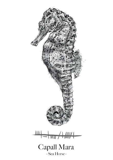 Sea-horse-greeting-card-Irish-language-ogham-text