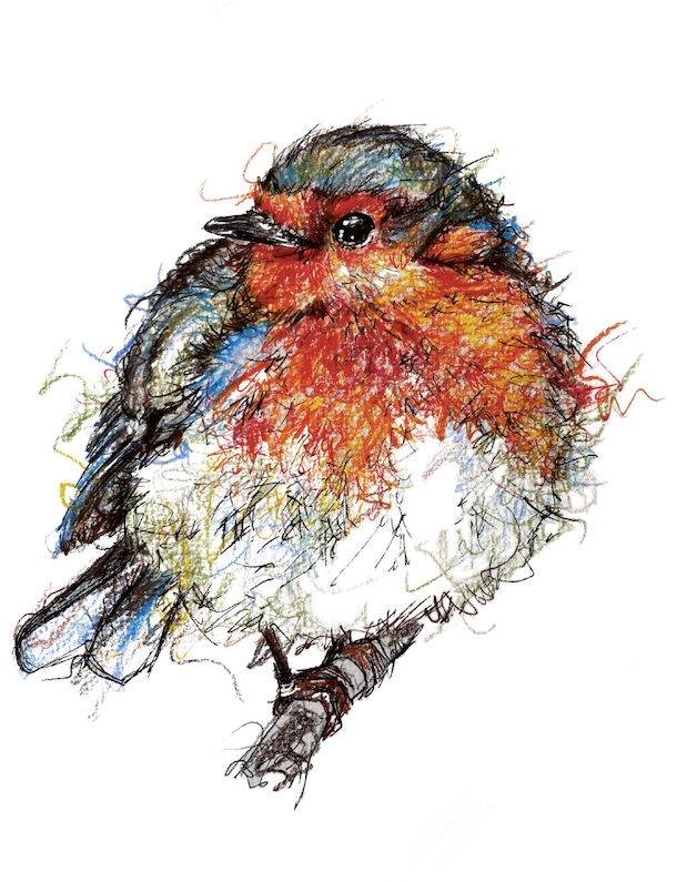 Sympathy-memorial-card-tinking-of-you-robin-gift-idea