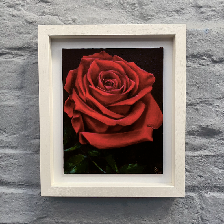 Fine Art Painting - Rose - Flower