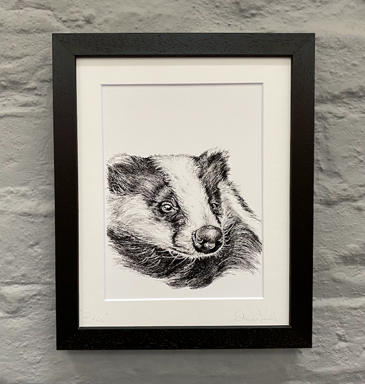 Badger-artwork-Broc