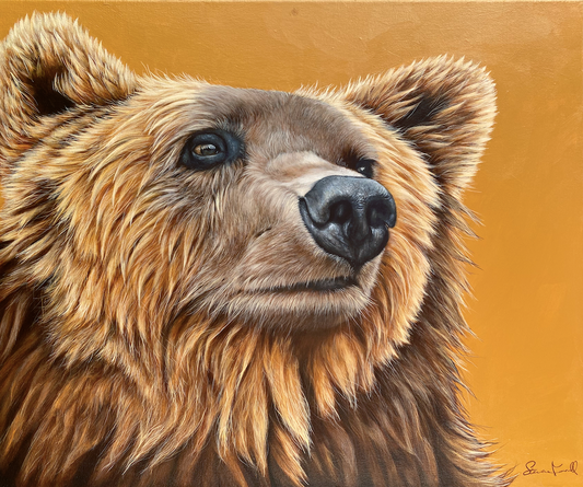 Brown-Bear-Painting-original-wildlife-art-north-American-bear
