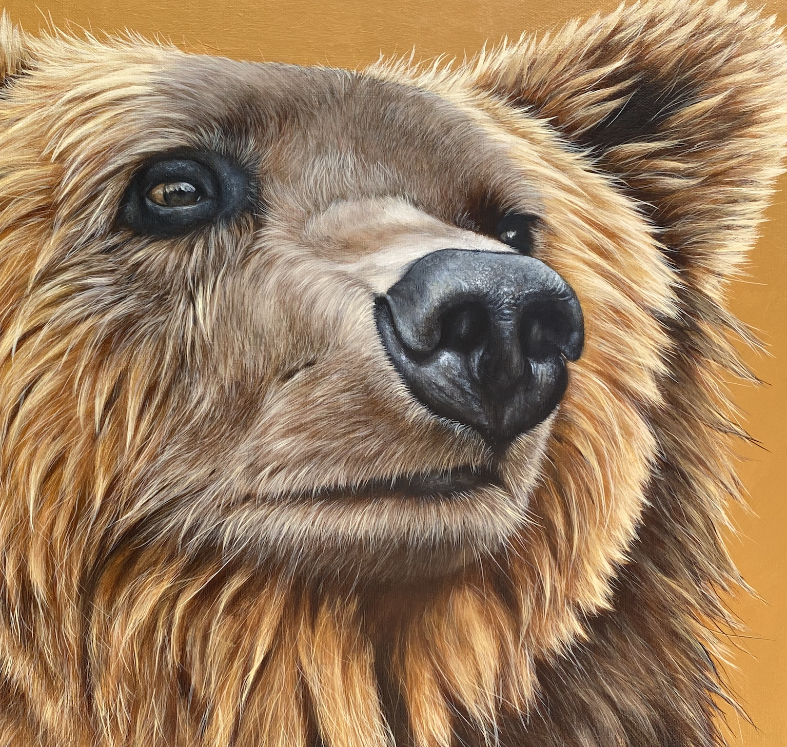 Brown-bear-painting-Grizzly-bear-Irish-original-art