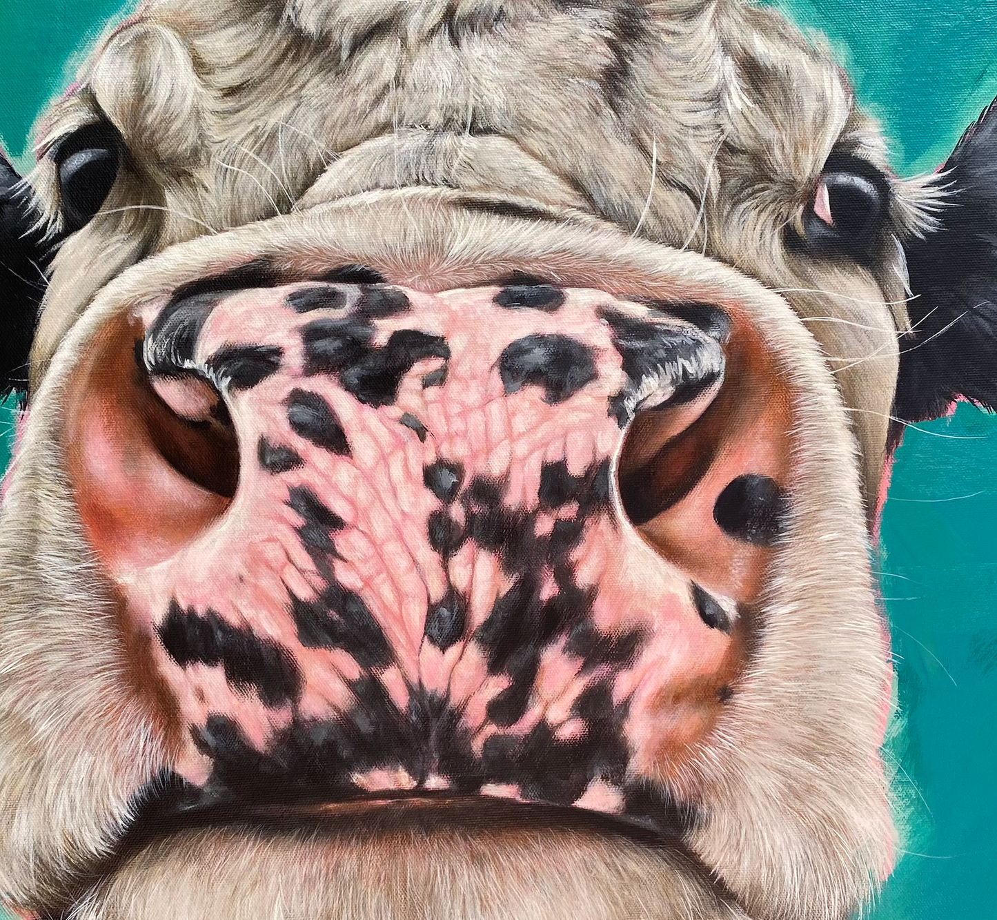 Cow-painting-cattle-farmyard-artwork-Ireland-Irish-farm