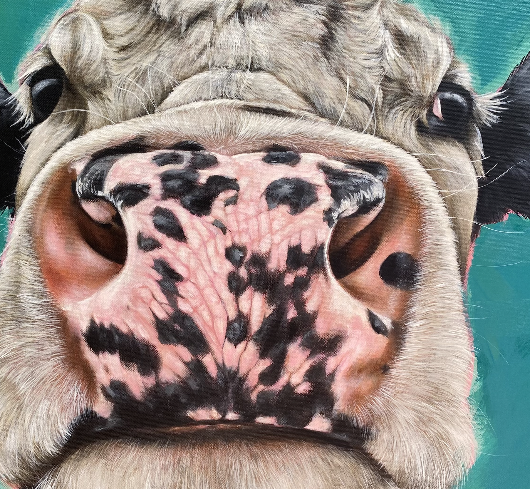 Cow-painting-cattle-farmyard-artwork-Ireland-Irish-farm