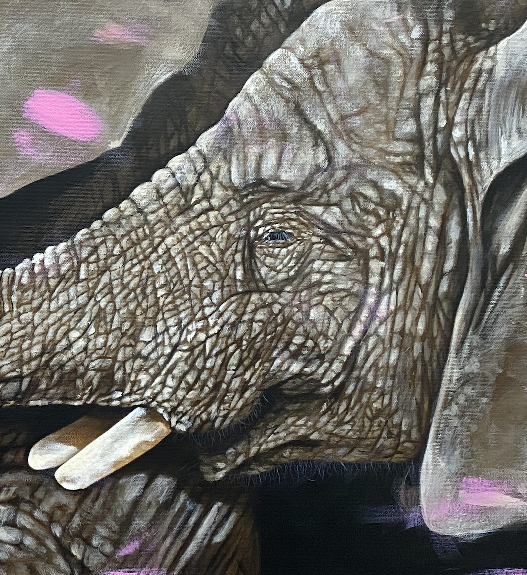 Elephant-painting-Ireland-Steven-Farrell