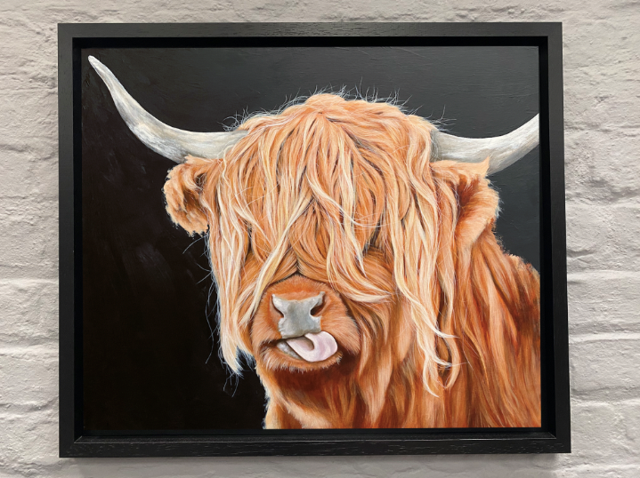 Highland-cow-farm-animal