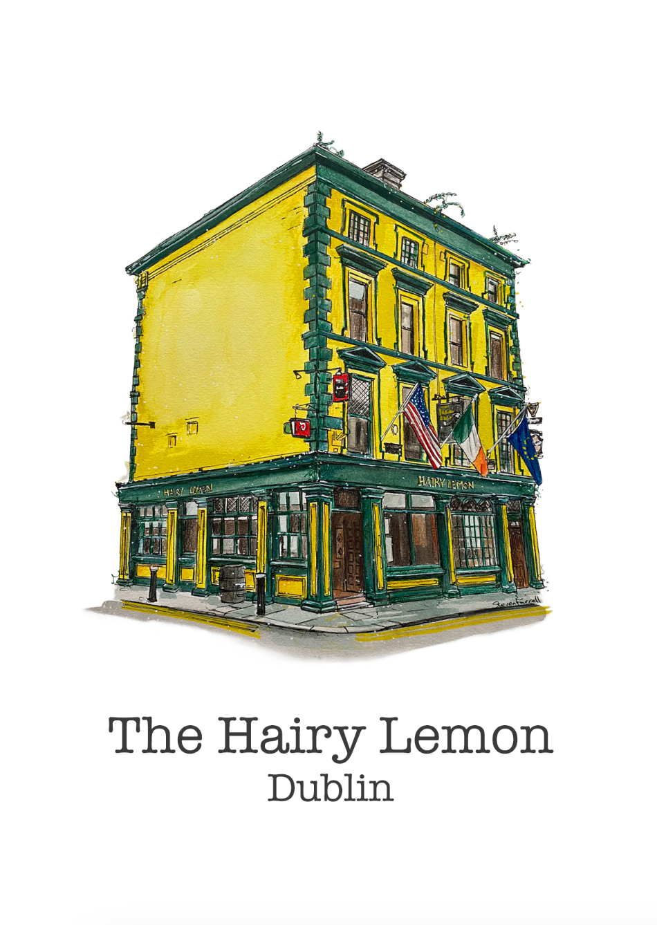 Hairy-lemon-pub-Dublin-Pints